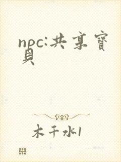 npc:共享宝贝