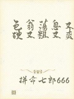 色翁荡息又大又硬又粗又爽封面