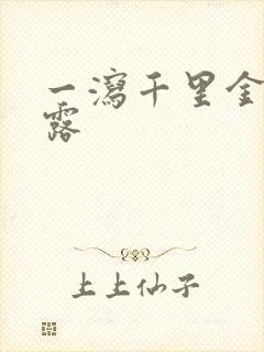 一泻千里金银花露封面