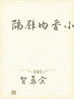 隔壁肉香小说封面