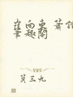 崔向东 萧错 笔趣阁