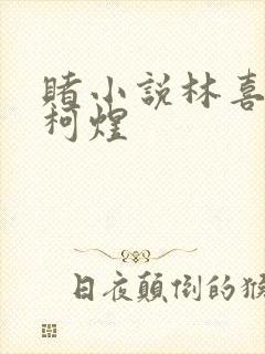 赌小说林喜朝和柯煜