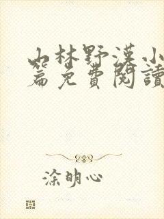 山林野汉小说全篇免费阅读封面