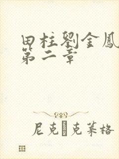 田柱刘金凤小说第二章