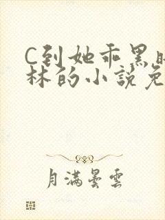 C到她乖黑暗森林的小说免费
