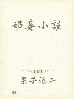 奶妾小说