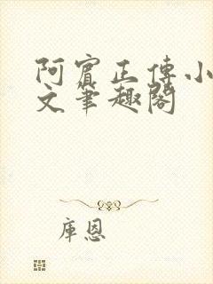 阿宾正传小说全文笔趣阁