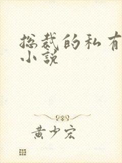 总裁的私有宝贝小说