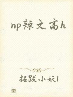 np辣文高h