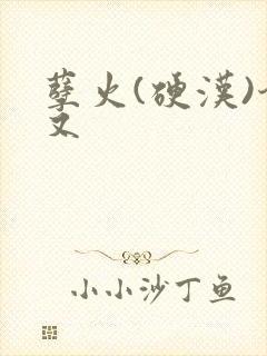 孽火(硬汉)今又