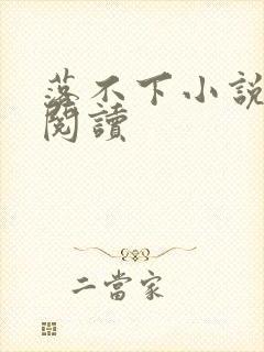 落不下小说免费阅读