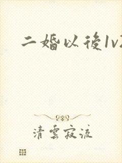 二婚以后1v2封面