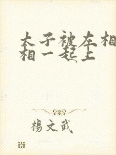 太子被左相和右相一起上