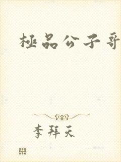 极品公子哥封面