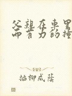 父亲在车里缓慢而有力的撞着