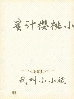 蜜汁樱桃小说封面