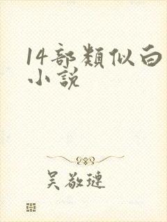 14部类似白洁小说封面