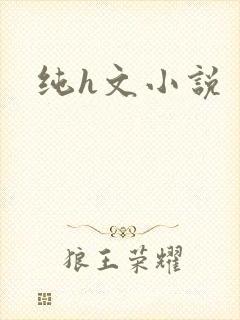 纯h文小说