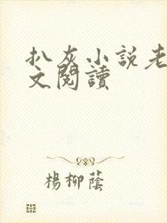 扒灰小说老马全文阅读