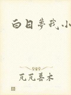 白日梦我小说