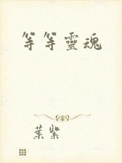 等等灵魂