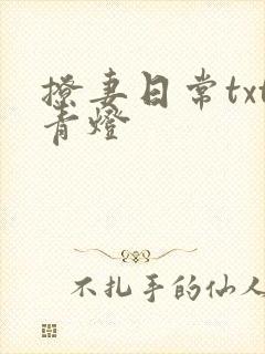 撩妻日常txt青灯