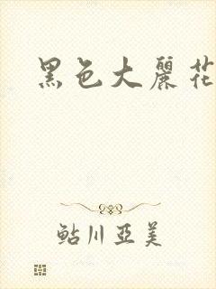 黑色大丽花图片封面