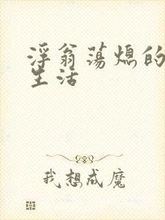 浮翁荡熄的幸福生活封面