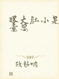 眼大肚小是什么意思封面