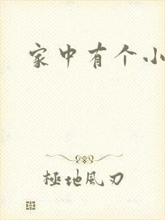 家中有个小姨子封面