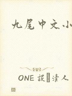 九尾中文小说网封面