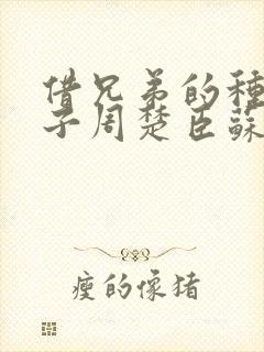 借兄弟的种生孩子周楚臣苏糖