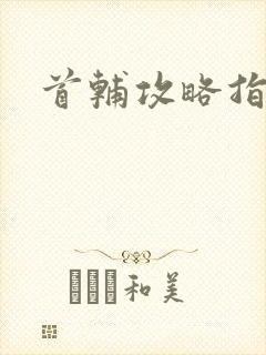 首辅攻略指南封面