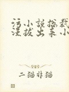 污小说总裁整夜没拔出来小说在线阅读