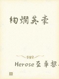 绚烂英豪封面