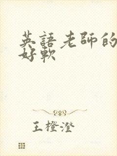 英语老师的兔子好软