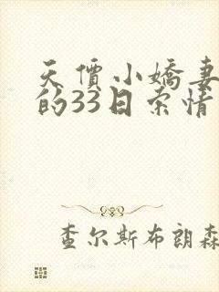 天价小娇妻总裁的33日索情