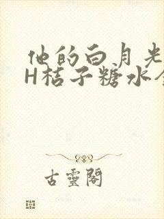 他的白月光HVH桔子糖水全文