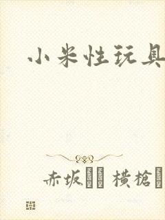 小米性玩具日记