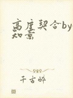高度契合by洛知意封面