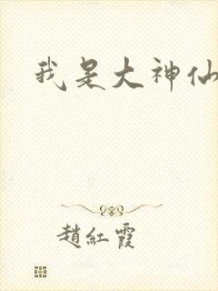 我是大神仙小说