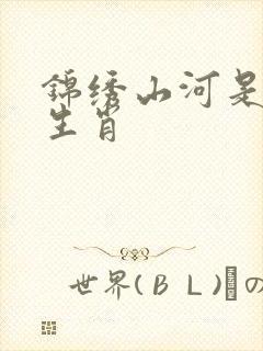 锦绣山河是什么生肖封面