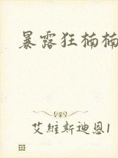 暴露狂楠楠封面