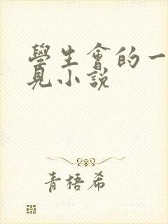 学生会的一己之见小说