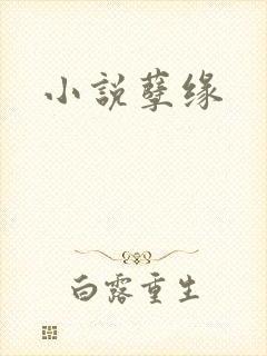 小说孽缘