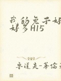 我的兔子好软水好多H15