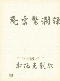 飞云惊澜录