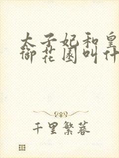 太子妃和皇帝在御花园叫什么小说