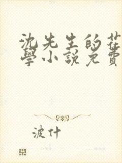 沈先生的花式教学小说免费