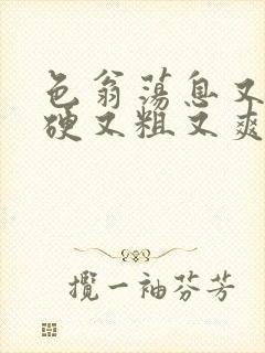 色翁荡息又大又硬又粗又爽电影